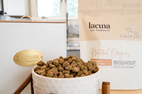 Best Dog Food for Sensitive Stomachs (What Actually Helps Digestion)