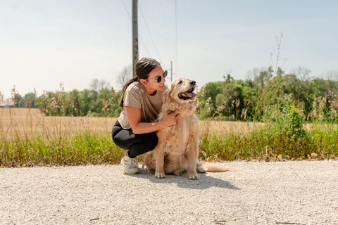 Do Dogs Really Need Probiotics? What Most Pet Parents Miss About Gut Health