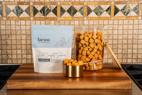 Is Salmon Good for Dogs? Benefits of Omega-3s for Skin, Coat, and Overall Health