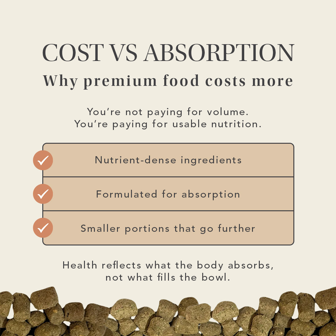 Premium Freeze-Dried Dog Food & Treats for Complete Nutrition