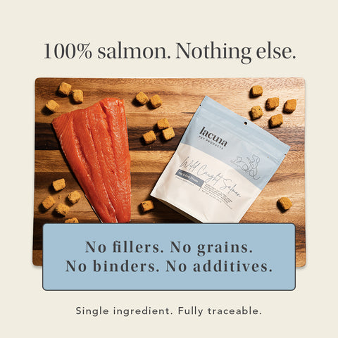 Wild Caught Salmon Treats
