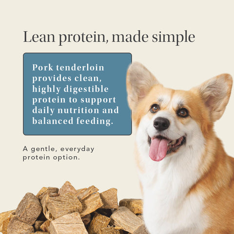 Pork Tenderloin Treats