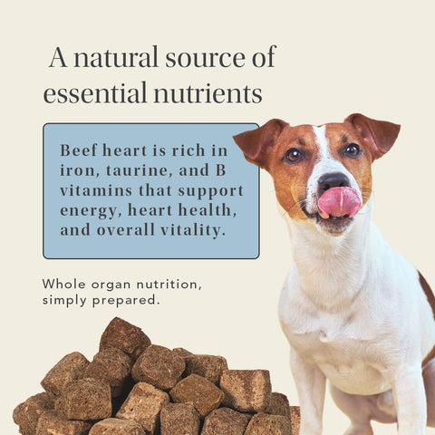Beef Heart Treats