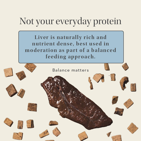 Bison Liver Treats