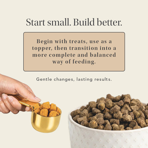 Wild Caught Salmon Treats