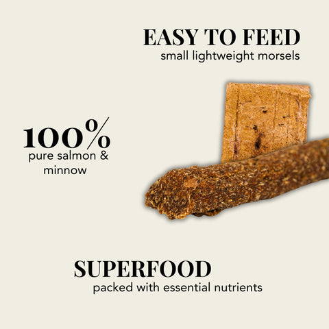 Elevated Nutrition Bundle