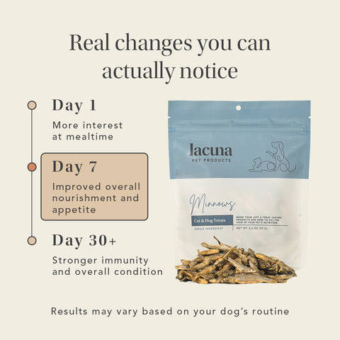 Minnows Treats