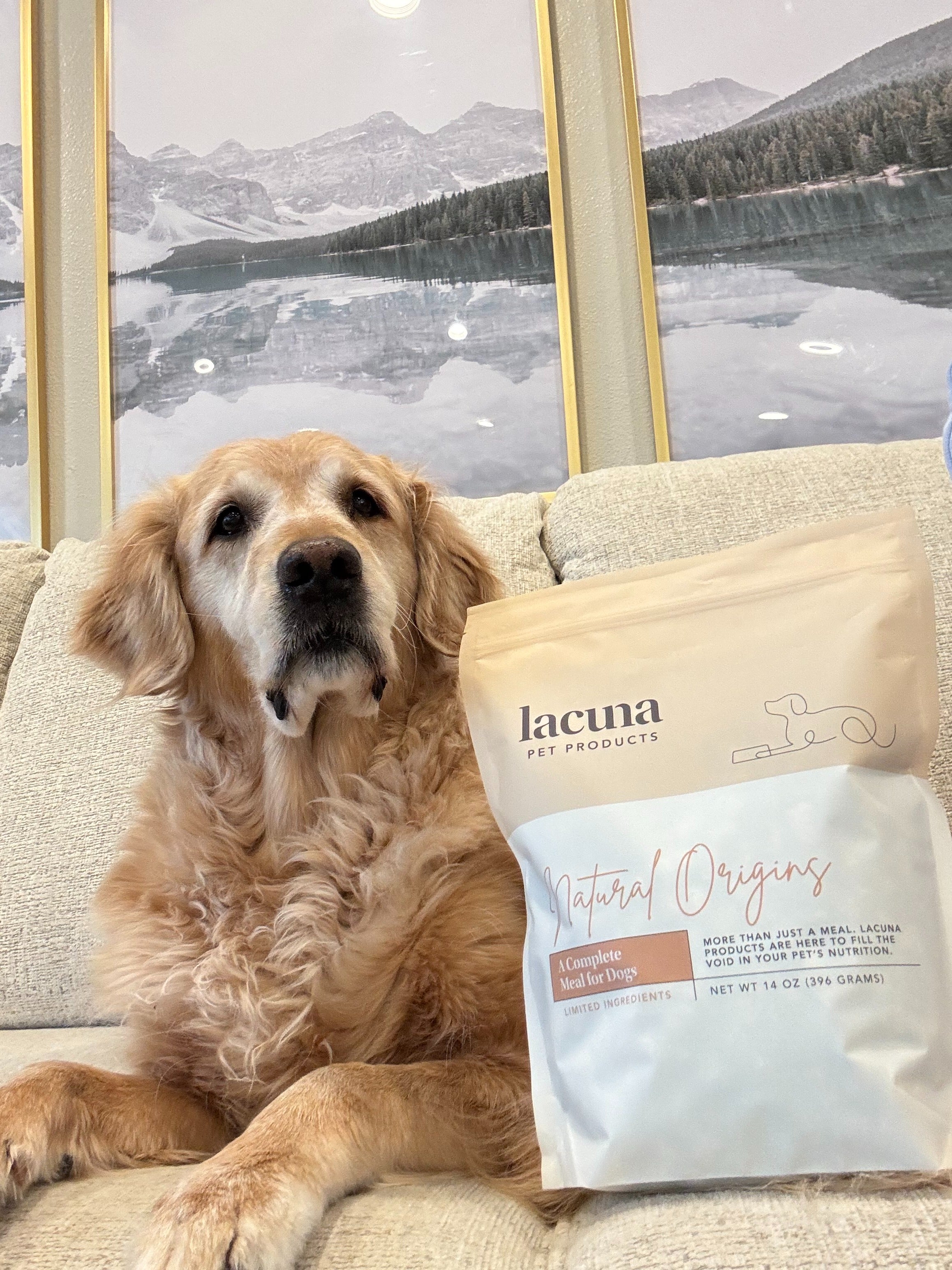 Premium Freeze-Dried Dog Food & Treats for Complete Nutrition