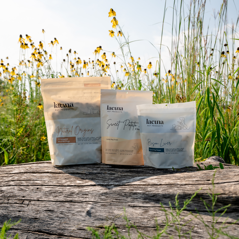 Elevated Nutrition Bundle