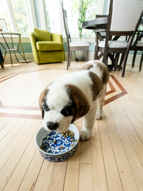 Nutrition Made Simple.