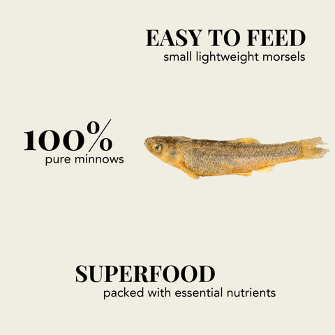 single ingredient, all natural minnow fish treats for pets
