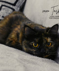 Tasha the long haired tortoiseshell cat that is featured on the minnows pet treat bags